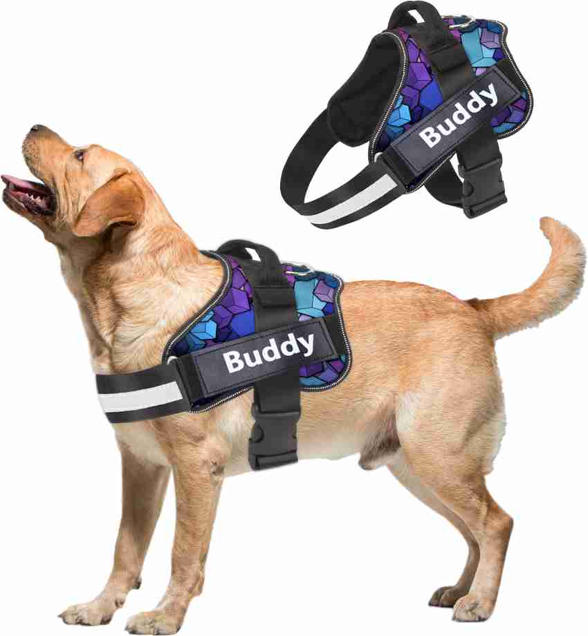 Chest belt clearance for dogs