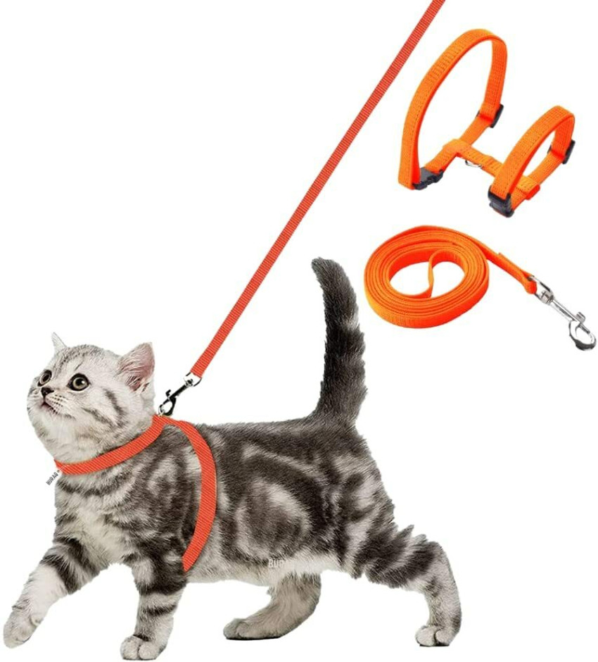 Pet Needs Nylon Full Body Adjustable Harness Leash Set for Kitten Small Cats Width 1 cm Cat Harness Leash Price in India Buy Pet Needs Nylon Full Body Adjustable Harness Leash Set for