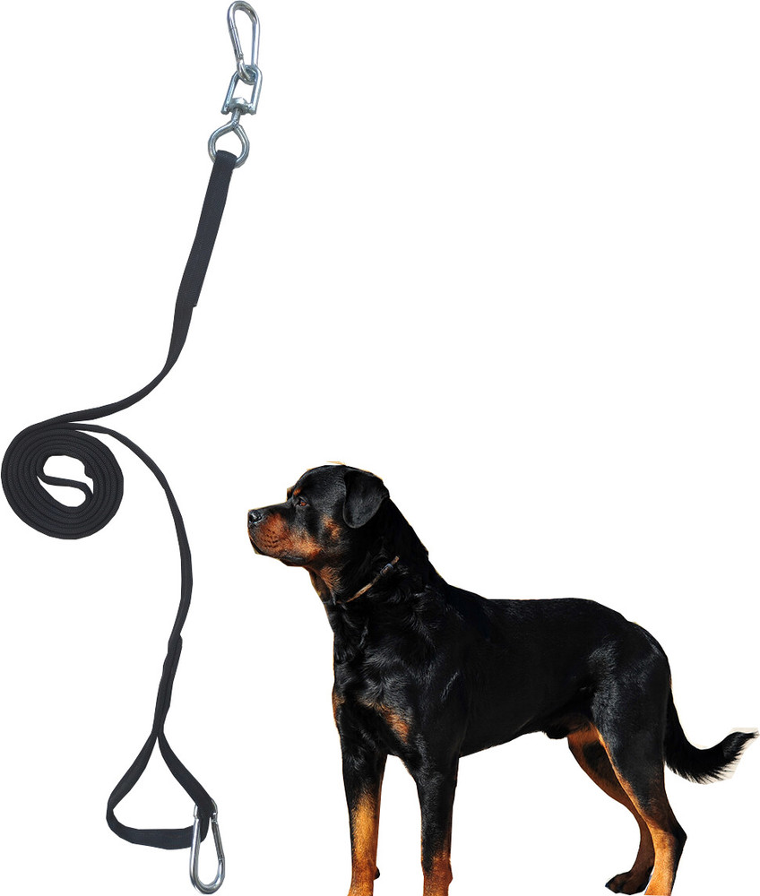 Dog 2024 leash flipkart