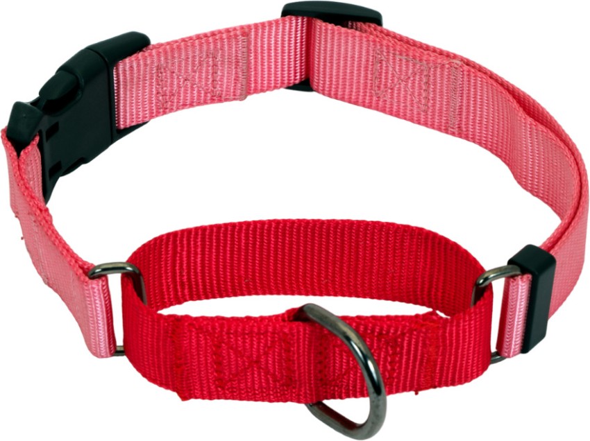 Buy 1 1/2 Inch Martingale Heavyduty Nylon Dog Collar Online