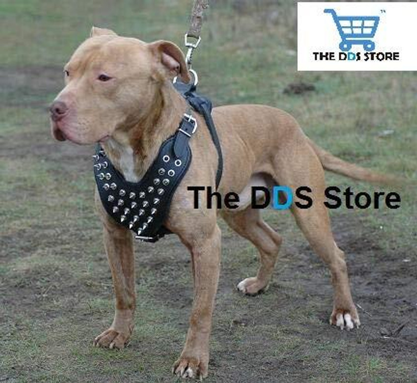 Leather spiked dog harness clearance