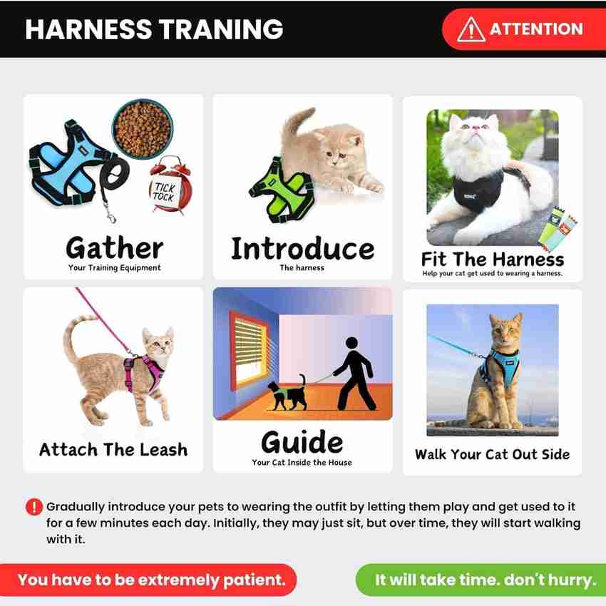 Dog Training Introducing Cats And Dogs Introducing Cats How Do