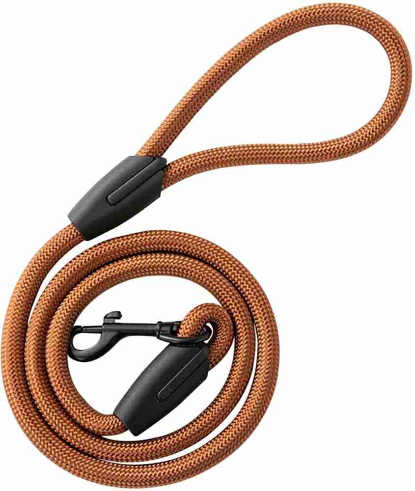 Dog leash supplies 2025