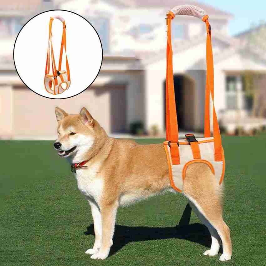 Hind leg outlet sling for dogs