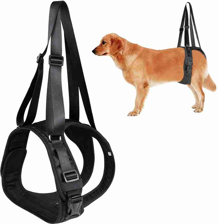 Dog rear leg support harness online