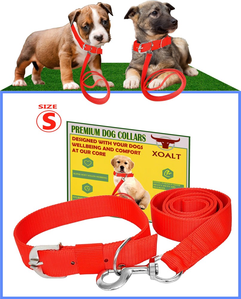 Dog best sale leash flipkart