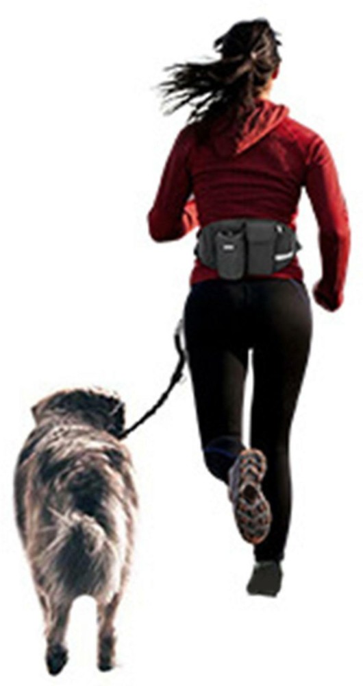 Dog top waist belt