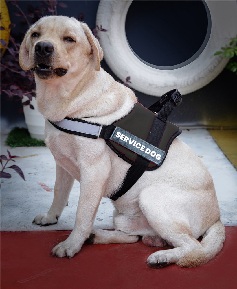 German Shepherd Pet Supplies Julius K9 Service Dog Harness ALCAZAR