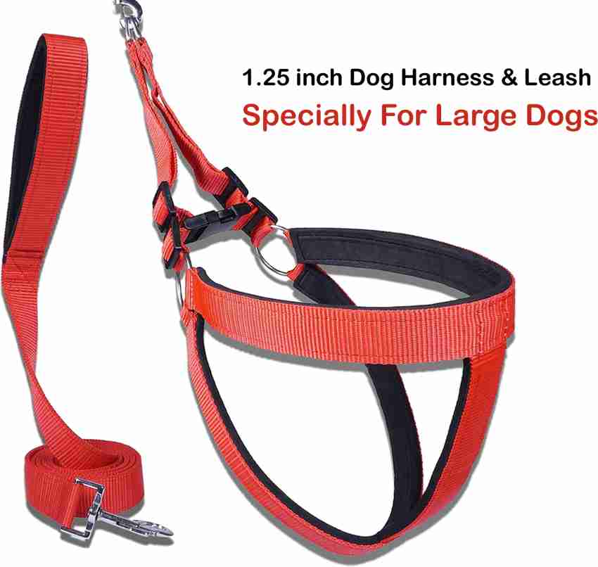 Dog body harness clearance leash