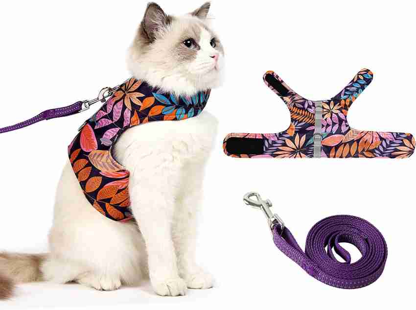 Outdoor cat outlet harness