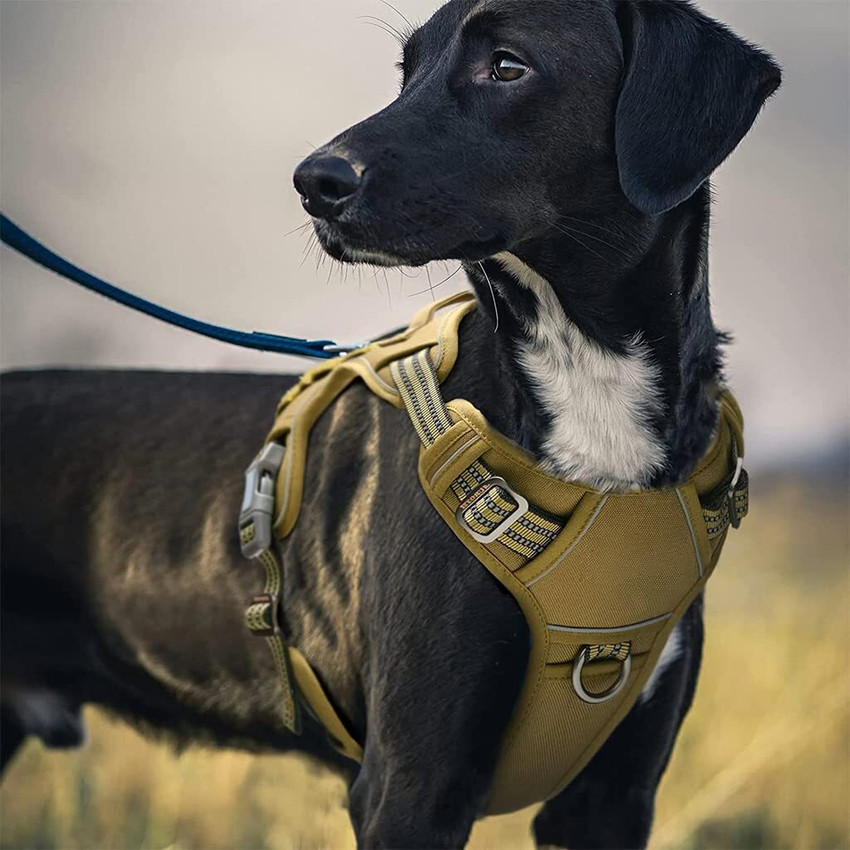Qpets Harness for Dogs Large Size with Reflective Tape Dog Harness