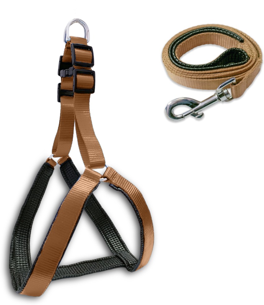 Trail dog outlet harness