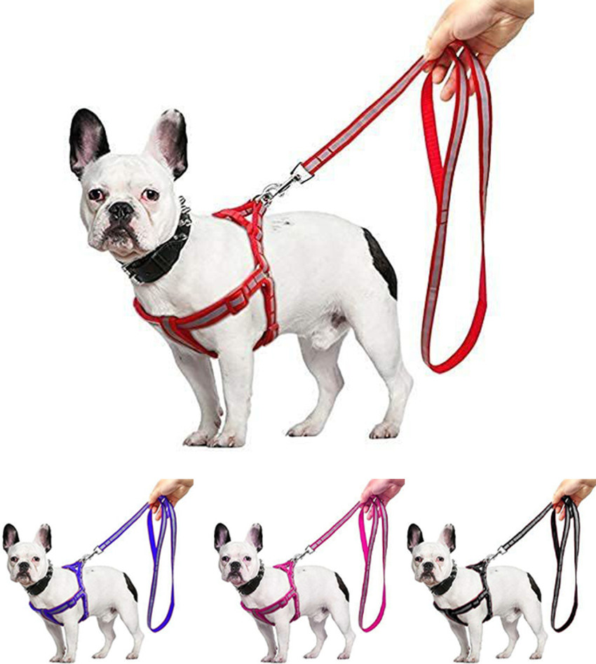 Flipkart pet accessories clearance