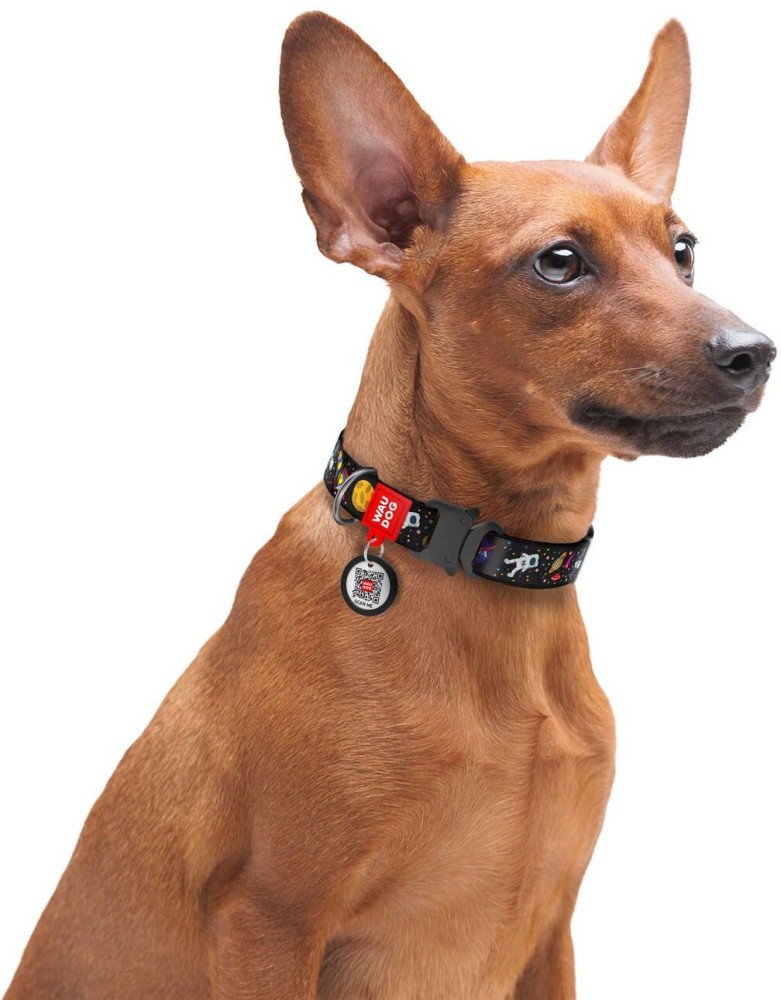 Dog choke chain deals online