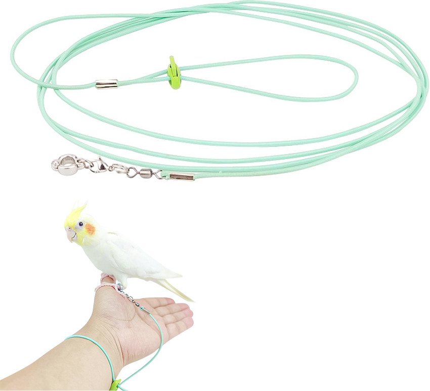 gustave Parrot Leg Ring 6.6ft Parrot Ring for Leg Elastic Parrot Toy Bird Aviator Leash Bird Leash Price in India Buy gustave Parrot Leg Ring 6.6ft Parrot Ring for Leg Elastic