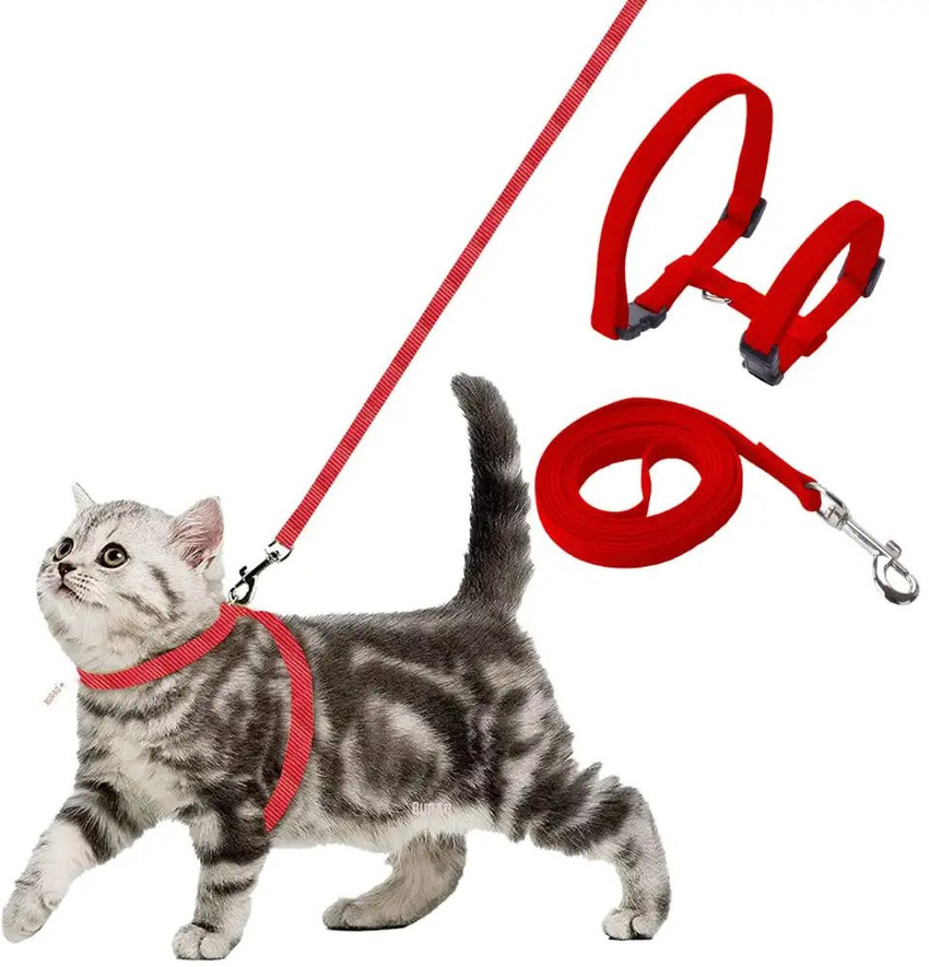 ADIOS Cat Harness Leash Price in India Buy ADIOS Cat Harness Leash online at Flipkart