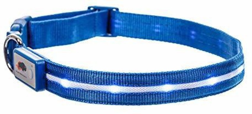 Blazin safety led dog cheap collar