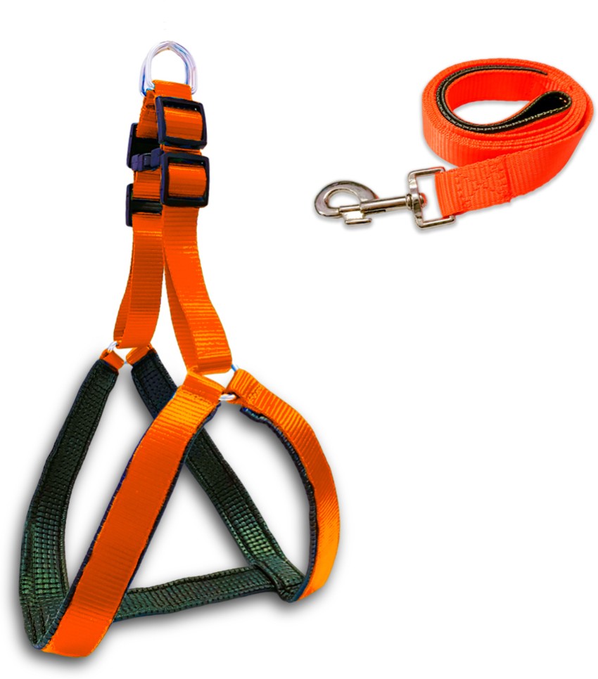 Dog cheap harness price