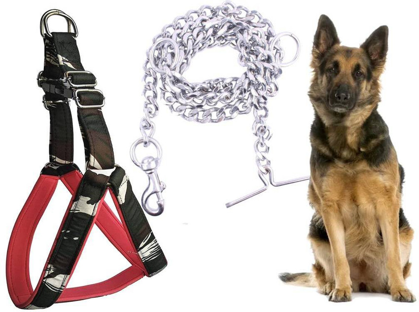 Hundur Store Padded Designer 1.25 inch Dog Chest Belt Harness with