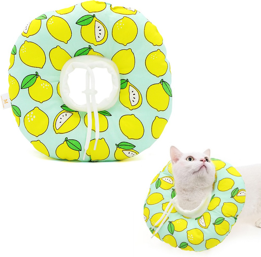 Cat hotsell protective collar