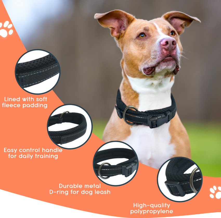 Guts And Glory Adjustable Polypropylene Dog Collar with Buckle in 20 22 Inch For Dogs Pets Dog Everyday Collar Price in India Buy Guts And Glory Adjustable Polypropylene Dog Collar with