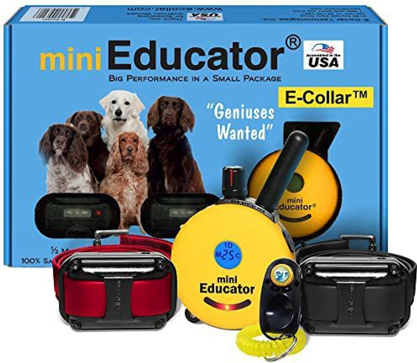 Mini Educator Mini Educator Bundle of 2 Items E Collar Et 302