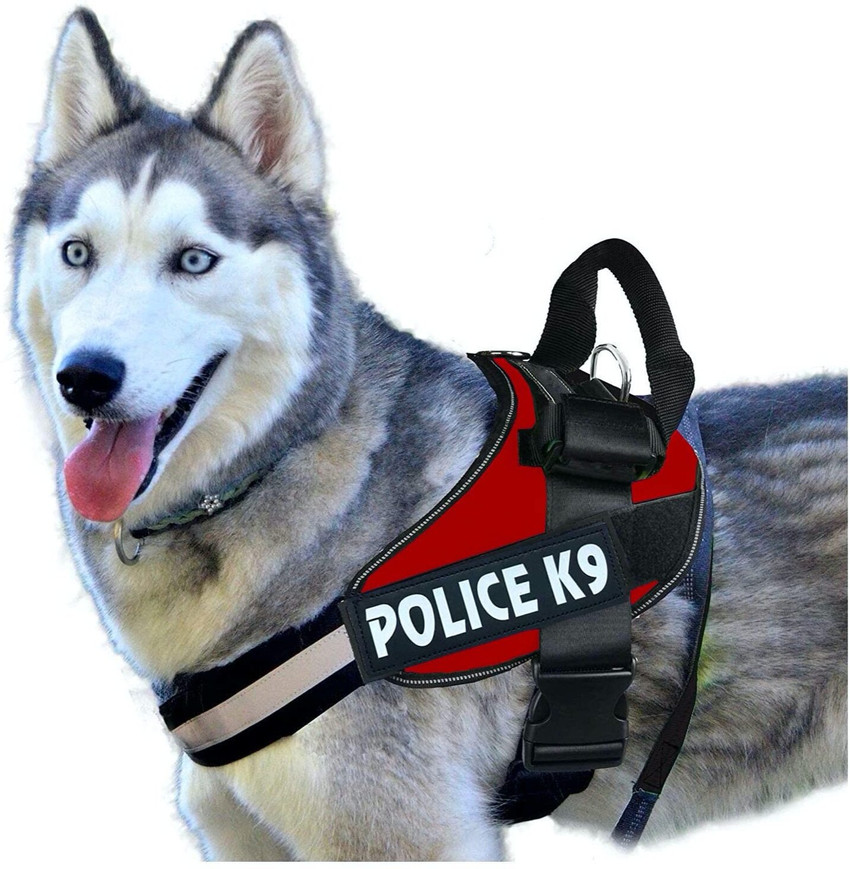 Police k9 dog collar clearance