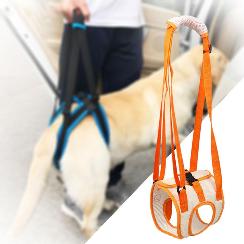 Dog front sale leg sling