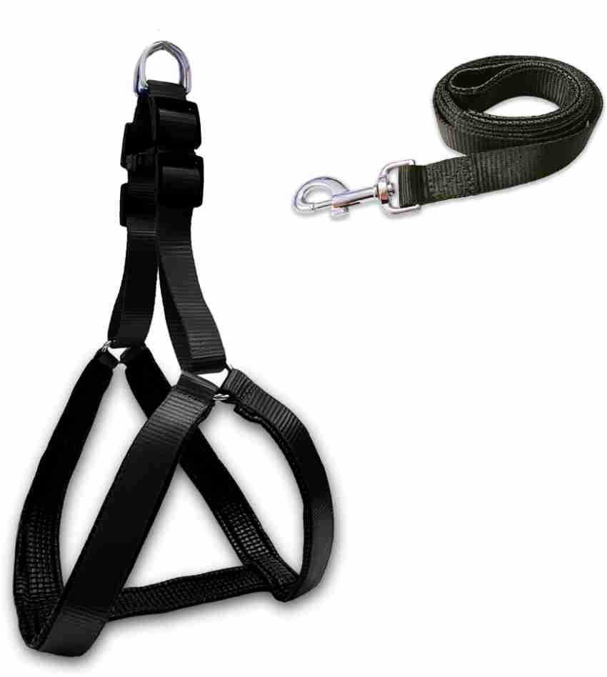 Dog harness and on sale leash combo