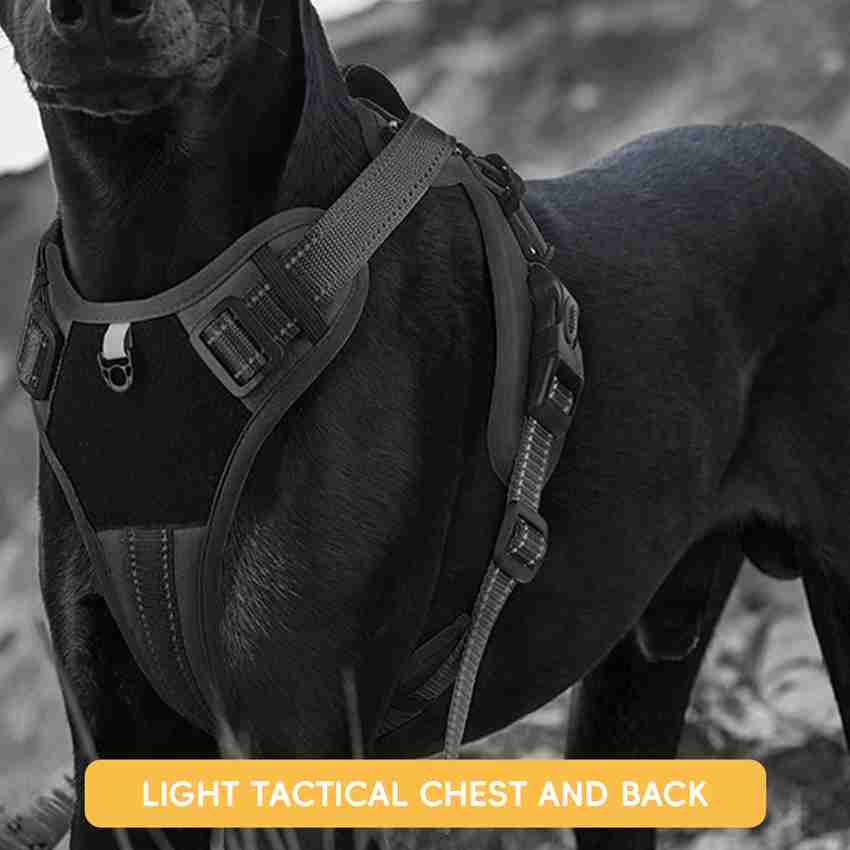 Belt for rottweiler cheap