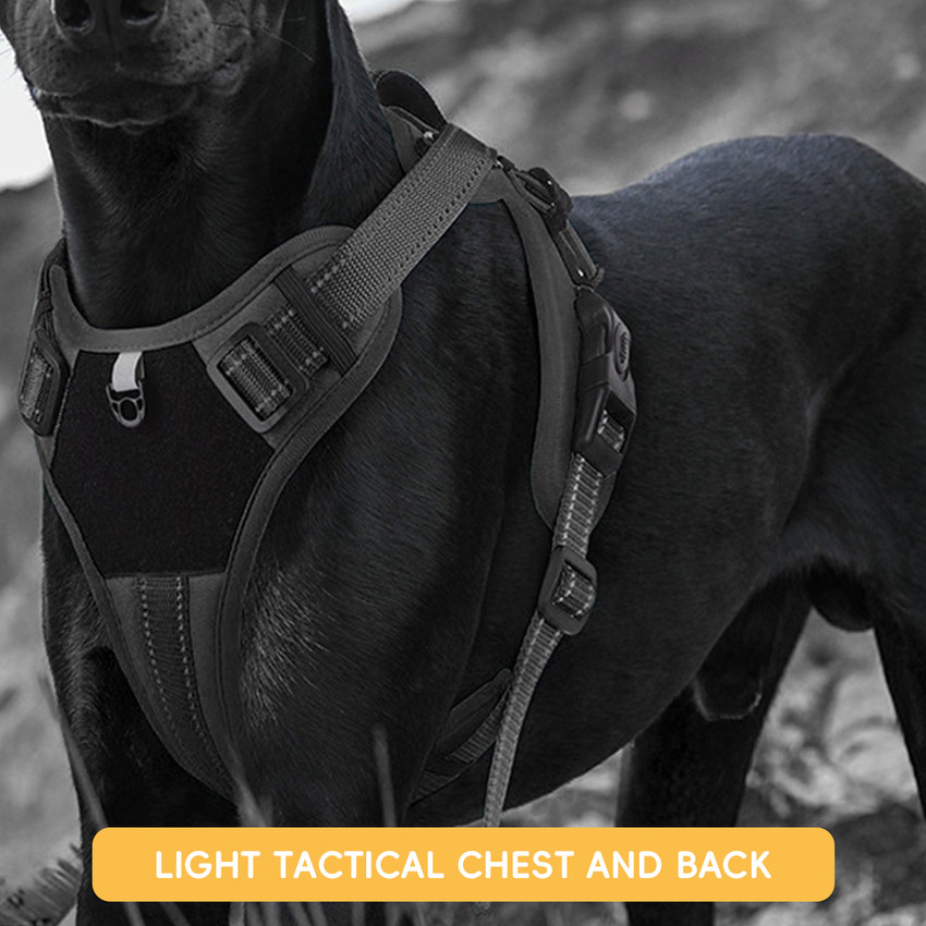 Harness for rottweiler dogs online