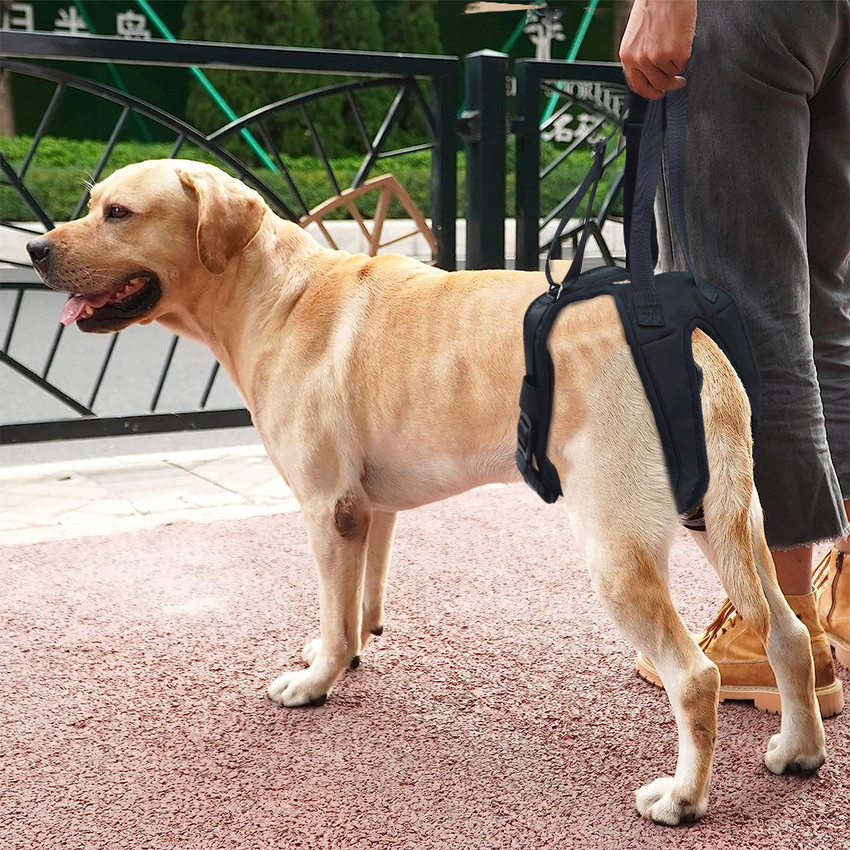 HANNEA Dog Lift Harness Rear Leg Use Lifting Harness for Dog Rear