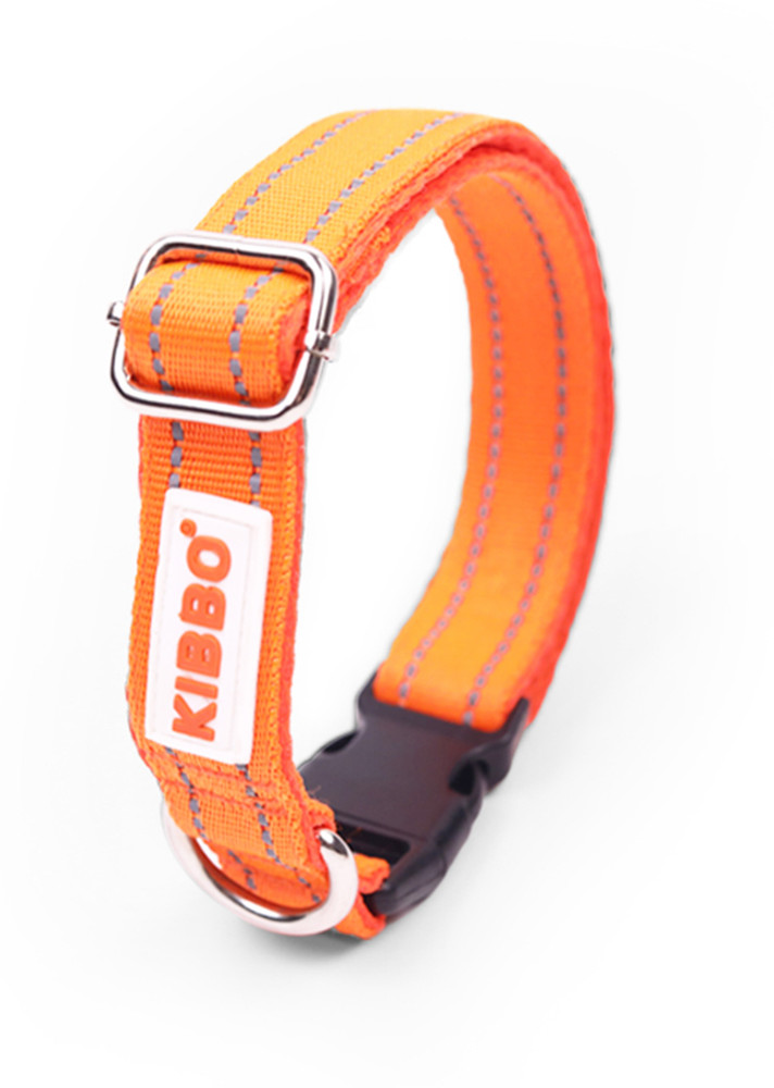 Stretchable hotsell dog collars