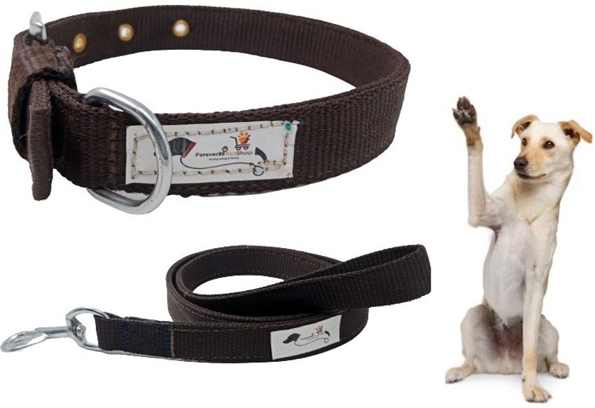 Dog hotsell security collar