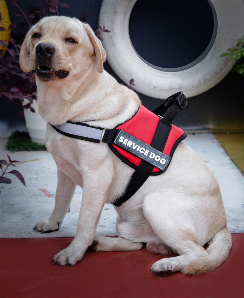 Service dog clearance vest extra small