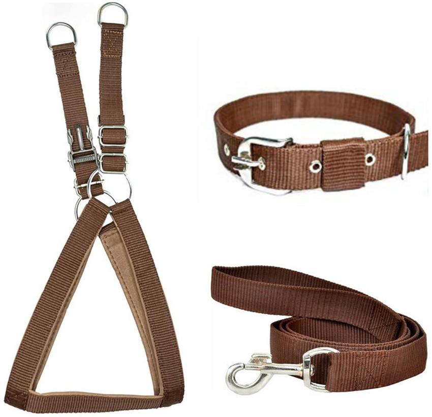 Collar harness combo discount