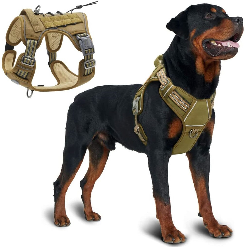 Harness for medium dogs online