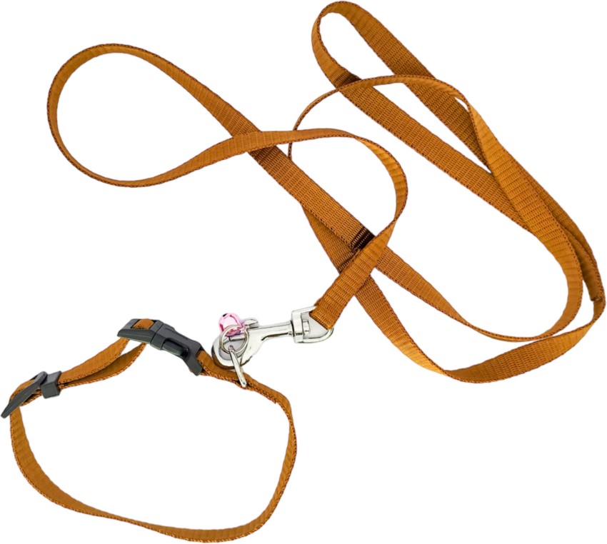 Dog belt with outlet bell