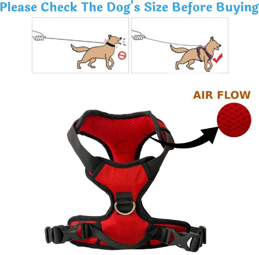 Labrador dog body belt 2025