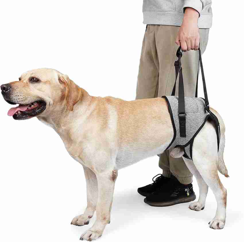 KUTKUT Dog Sling for Dog Hind Leg Support to Help Rehabilitate