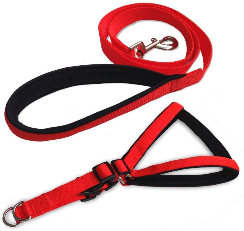 Harness hotsell rope leash