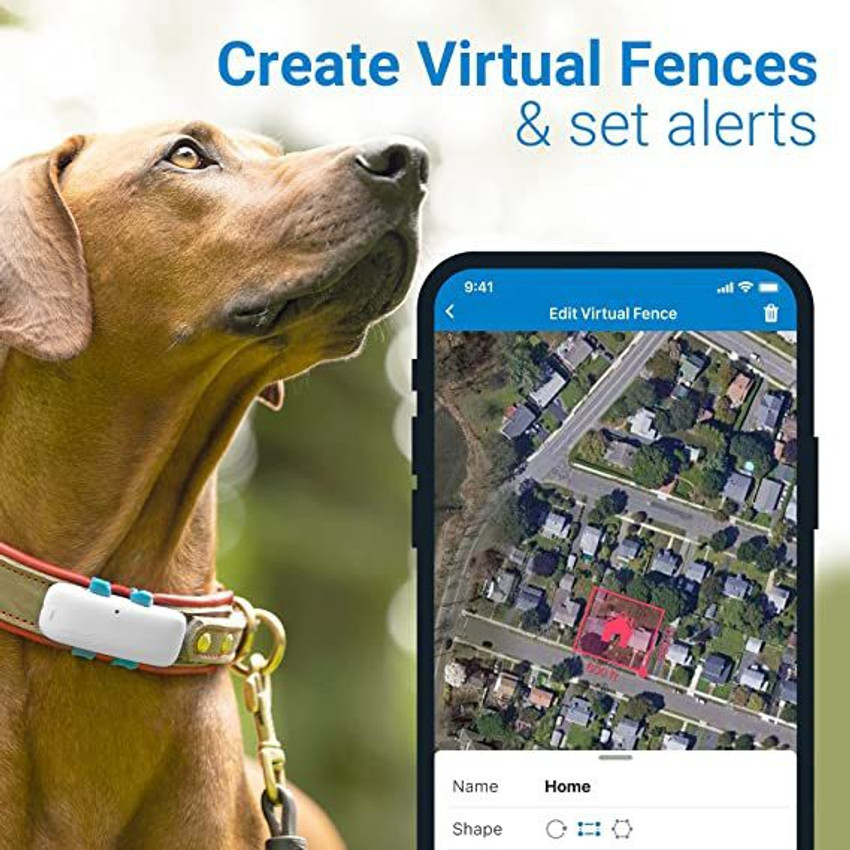Tractive led dog collar online