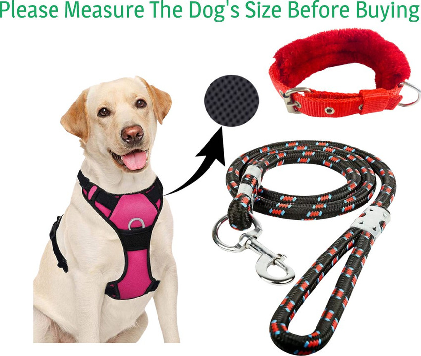 Rope 2025 harness dog