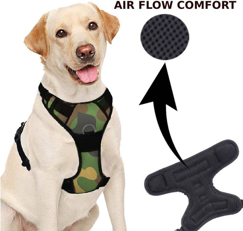 Lab dog online body belt
