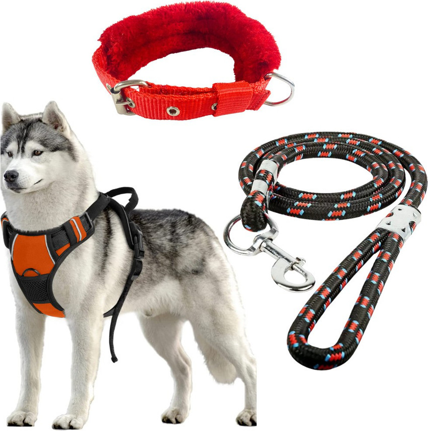 Best extra small dog harness clearance