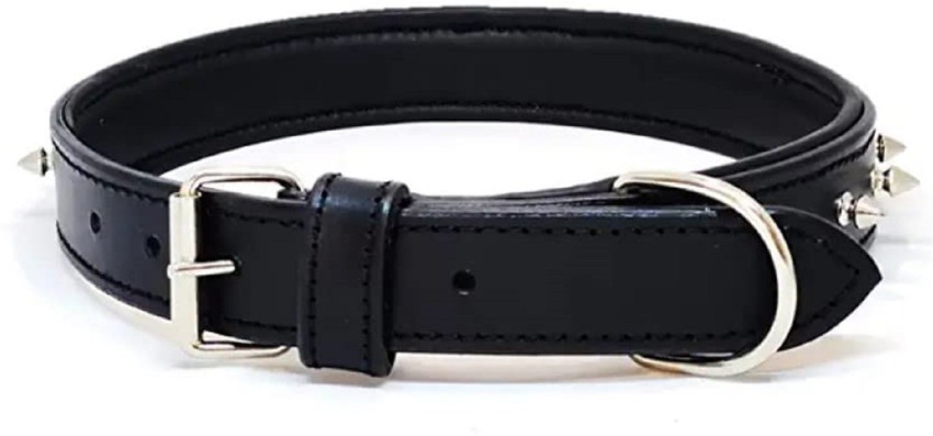 Buy Brewers Dog Collar Online In India -  India