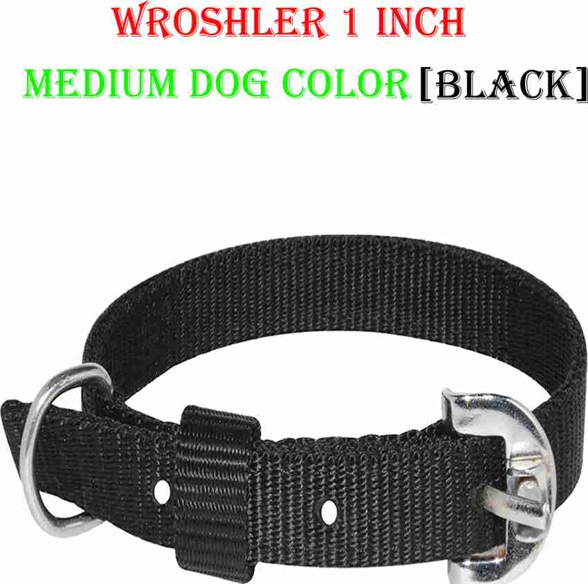 Best color collar outlet for black dog