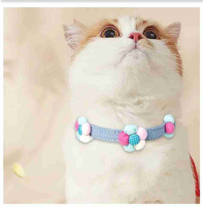 Extra small shop kitten collar
