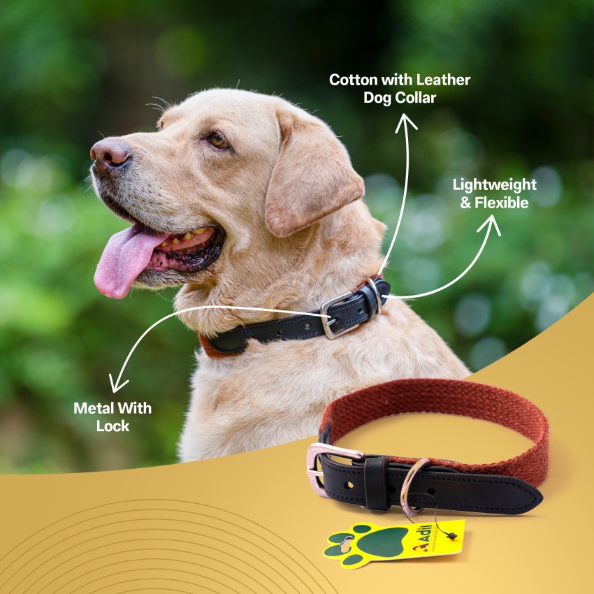 ADIL S Adjustable Plain Cotton with Leather Dog Collar Width 1