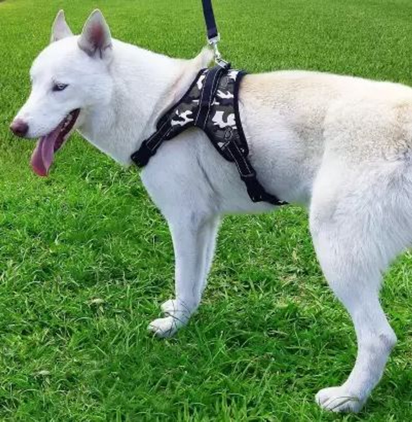 Comfort dog harness vest hot sale